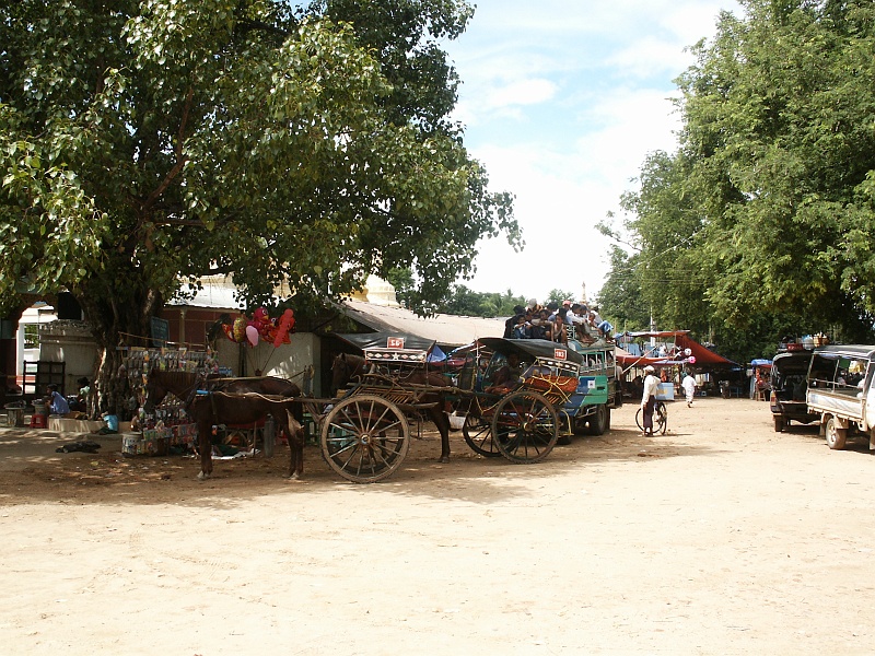 009_Manuha_002.JPG