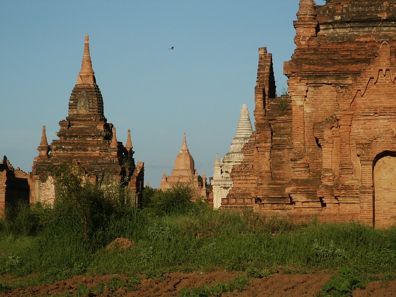 PICT3432.JPG