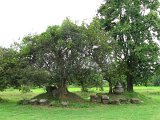 Prang_Pha_Kho_Khonburi_0023.JPG