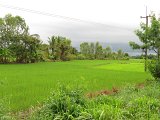 Khmer_temples_in_Isan_travels_0068.JPG