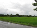 Khmer_temples_in_Isan_travels_0069.JPG