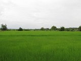 Khmer_temples_in_Isan_travels_0071.JPG