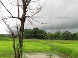 Khmer_temples_in_Isan_travels_0078.JPG